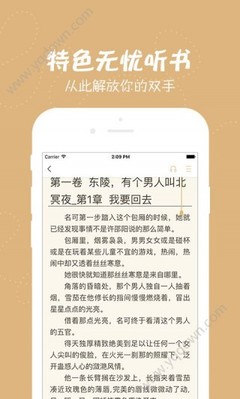 爱游戏体育app罗马的赞助商